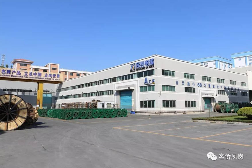 党建引航 | 坚守初心与使命——  民兴电缆接受凤岗电视台采访和报道