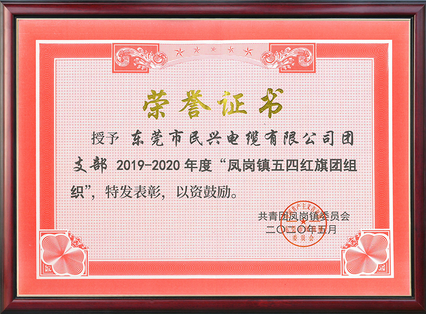  民兴电缆团支部获“凤岗镇五四红旗团组织“称号